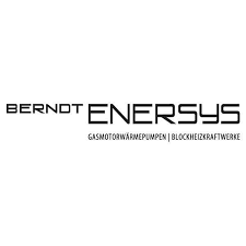 Berndt Enersys Partner Logo Blockheizkraftwerke